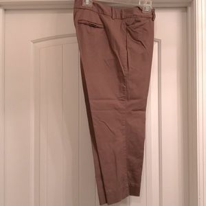 Loft pants Capri pants